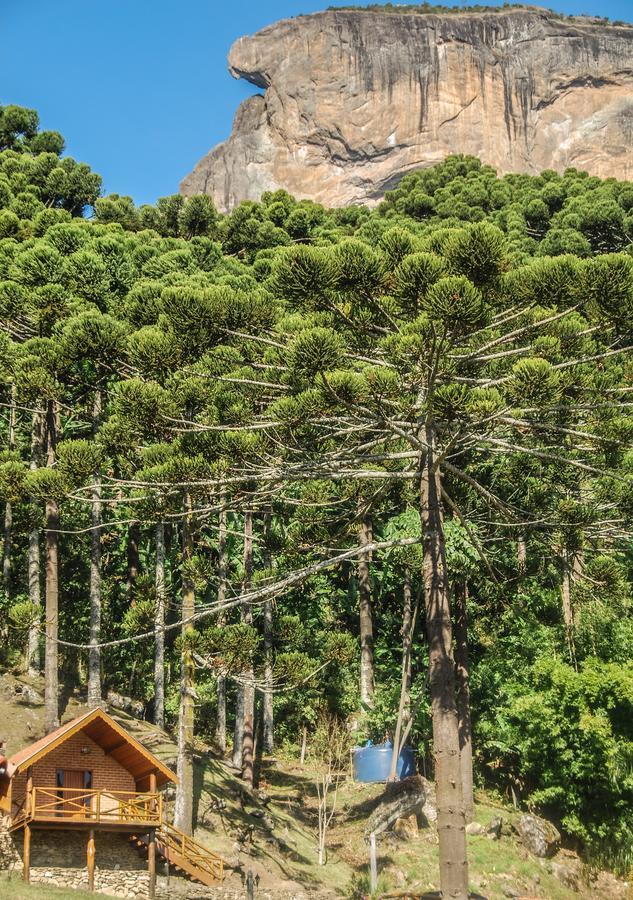 Chalés Araucária e Manacá São Bento do Sapucaí Exterior foto