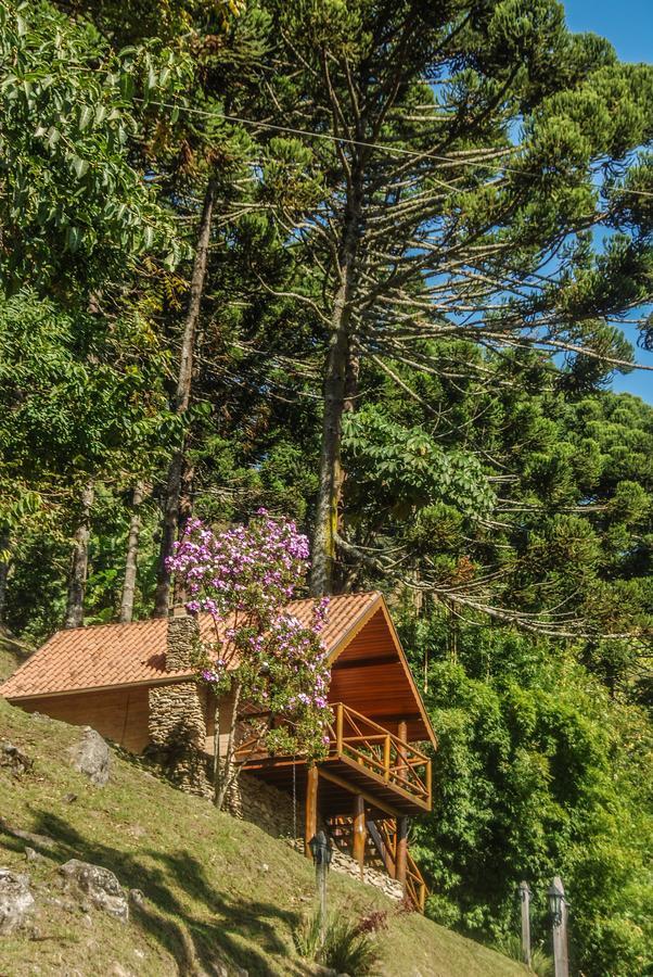 Chalés Araucária e Manacá Vila São Bento do Sapucaí Exterior foto